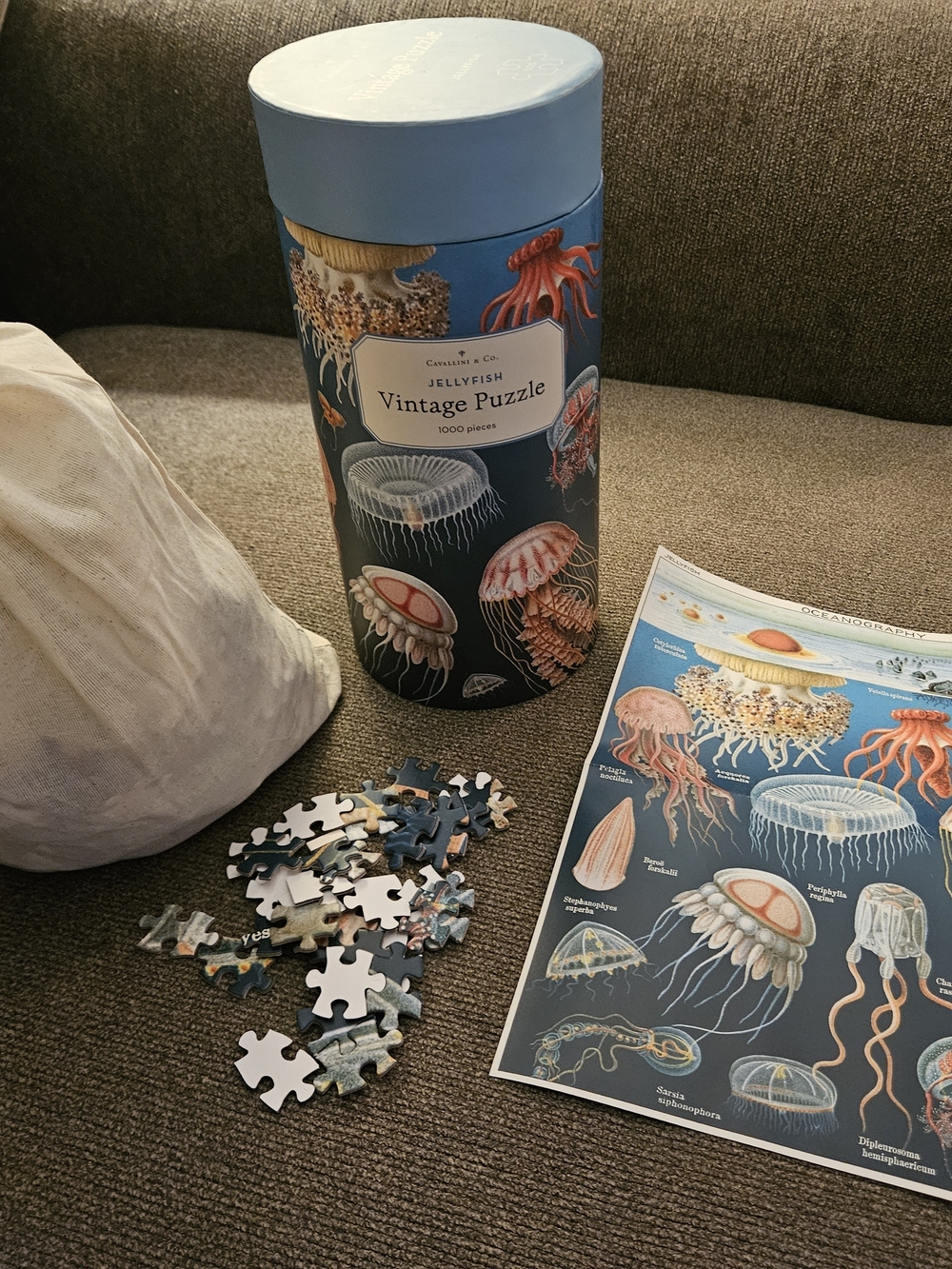 Cavallini & Co. Jellyfish Vintage Style 1000 Piece Puzzle Brand New Toy RARE